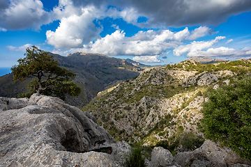 Image showing Mirador Coll de Reis, Nudo de Corbata, Serra de Tramuntana mountain Balearic Islands Mallorca Spain.