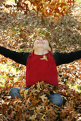 Image showing Autumn Joy