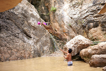 Image showing Zoo, tiger and jump for food in water, river or trainer in pool with stick to play, teach or exercise for tigers. Animal stretching or feeding cat in veterinary sanctuary or Indonesia conservation