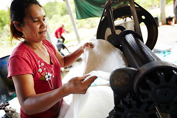 Image showing Plastic, manufacturing and Asian woman with roller in workshop, factory and outdoor warehouse in nature. Industry, production and person with machine for rolling latex, rubber and material products