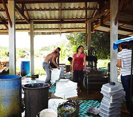 Image showing Rubber, manufacturing and people in workshop, factory and production warehouse outdoors. Business, plantation and workers with package for industrial process, plastic or material resource in Thailand