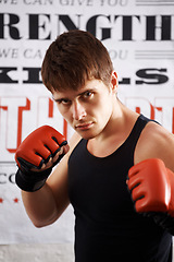 Image showing Man, portrait and professional fighter with boxing gloves in martial arts or MMA sports for self defense in dojo. Serious male person, athlete or boxer ready for fight, match or muay thai at the gym