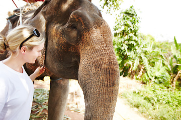 Image showing Travel, conservation and woman with elephant in a jungle for adventure, freedom and experience. Nature, wildlife and female tourist in Thailand bonding with animal in forest with environment and fun