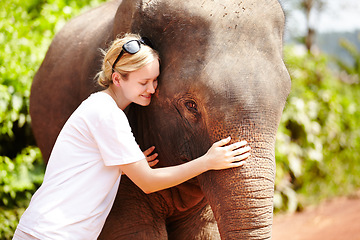 Image showing Travel, nature and woman hug elephant in a jungle for adventure, freedom and experience. Conservation, wildlife and female tourist in Thailand bonding with animal in a forest with touch and fun