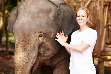 Image showing Travel, freedom and portrait of woman with elephant in a forest for vacation, trip or holiday. Nature, bucket list and face of female traveler with animal in a park for adventure on Thailand journey