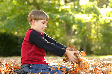 Image showing Child playing in leaves