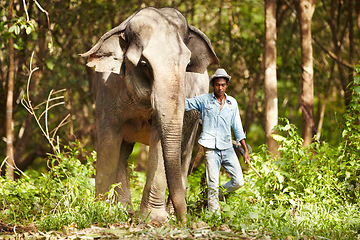 Image showing Nature, animal and man with elephant in forest for rescue, conservation and wildlife rescue. Sanctuary, tropical and person in environment, natural ecosystem and outdoors in Thailand for tourism