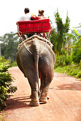 Image showing Elephant, tourist and riding on back for travel, adventure or vacation outdoor in nature in India. Animal, people and aerial view on a journey in safari, jungle or tourism in the woods for wildlife