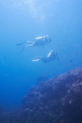 Image showing Couple, swimming and scuba diving in sea for underwater adventure and explore on tropical holiday or vacation. Sports people, tourist or diver with bubbles, blue water and search ocean life or coral