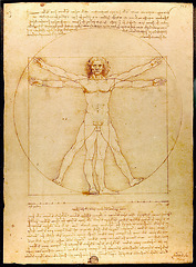 Image showing Art, Da Vinci and drawing of anatomy of man for renaissance, science and biology painting. Vitruvian artwork, history symbol and famous artist design on parchment, vintage canvas and illustration