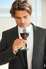 Image showing Glass of red wine, glass and man with promotion, thinking and celebration with event, aroma and suit. Rich, guy and expert with alcohol, idea and luxury with beverage, drink and winery with scent