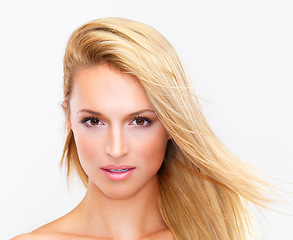 Image showing Portrait, skincare and hair of a woman closeup in studio on a white background for natural wellness or cosmetics. Face, beauty and foundation with a confident young model at the salon for dermatology