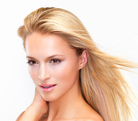 Image showing Face, shampoo and hair of a woman closeup in studio on a white background for natural wellness or cosmetics. Beauty, skincare and wind with a confident young model at the salon for dermatology