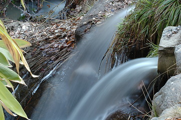 Image showing Springtime water