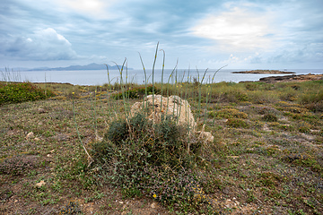 Image showing Natural beach near city Can Picafort. Balearic Islands Mallorca Spain.