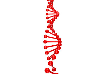 Image showing dna structure over white