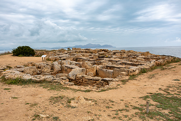 Image showing Necropolis de Son Real, Can Picafort, Balearic Islands Mallorca Spain.