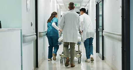 Image showing Doctors, hospital bed patient and people walk, consulting and talking about healthcare service wellness. Clinic staff, collaboration and medical team, nurses or surgeon discussion with surgery client