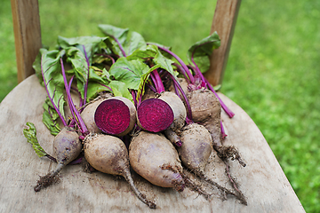 Image showing Beetroot