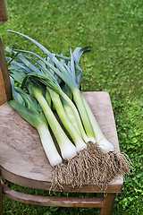 Image showing Leeks