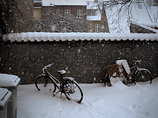 Image showing Snow, storm and bike outdoor by a house, real estate or buildings with landscape or neighborhood. Winter, environment or location for bicycles in nature with ice, tree or apartment background in city