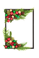 Image showing Christmas Background Frame Winter Flora and Festive Decorations