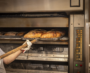 Image showing Bread baking industry