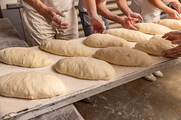Image showing Bakers forming bread loaves