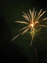 Image showing Firework at night