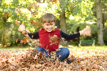 Image showing Playing in Leaves