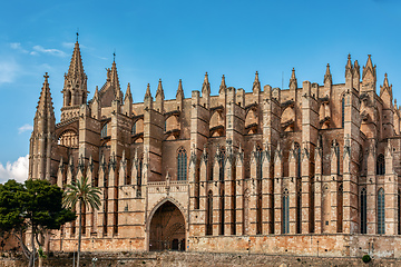 Image showing Gothic medieval cathedral La Seu and Royal Palace of La Almudaina. Palma de Mallorca. Balearic Islands Spain.