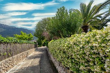 Image showing Narrow streets in historic center of town of Valldemossa, Balearic Islands Mallorca Spain.