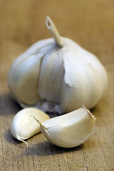 Image showing garlic