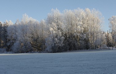 Image showing Winter in Norway