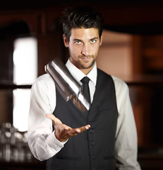 Image showing Portrait, bartender and working at restaurant with cocktail mixer and service to customer at night hotel. Man, mixologist or expert barman with alcohol drink or wine cooler, clients and hospitality