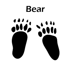 Image showing Bear Footprint
