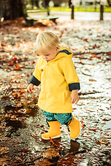 Image showing Small bond infant boy wearing yellow rubber boots and yellow waterproof raincoat walking in puddles on a overcast rainy day. Child in the rain.