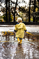 Image showing Small bond infant boy wearing yellow rubber boots and yellow waterproof raincoat walking in puddles on a overcast rainy day. Child in the rain.