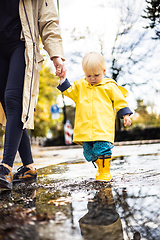 Image showing Small bond infant boy wearing yellow rubber boots and yellow waterproof raincoat walking in puddles on a overcast rainy day holding her mother's hand. Mom with small child in rain outdoors.