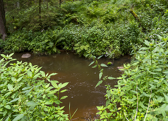 Image showing nature reserve in the Bavarian Forest