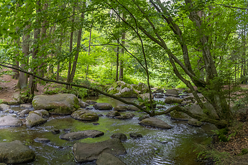 Image showing nature reserve in the Bavarian Forest