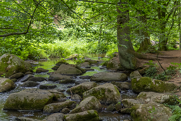 Image showing nature reserve in the Bavarian Forest