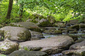 Image showing nature reserve in the Bavarian Forest