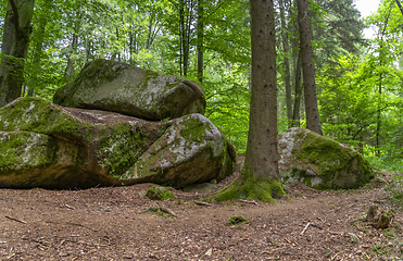 Image showing nature reserve in the Bavarian Forest