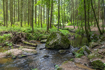 Image showing nature reserve in the Bavarian Forest