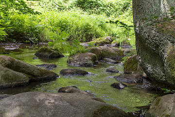 Image showing nature reserve in the Bavarian Forest