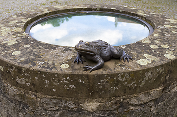Image showing metallic frog sculpture