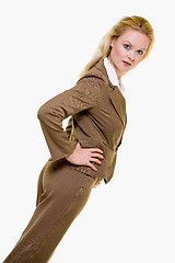 Image showing Brown business suit