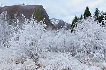 Image showing white-frozen pipes and blades of grass in front of mountain peak