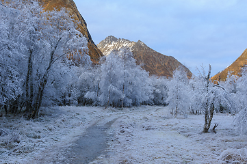 Image showing white frozen trees by path towards mountain top sun are illumina